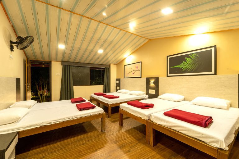 River Edge Dandeli River Resort 17
