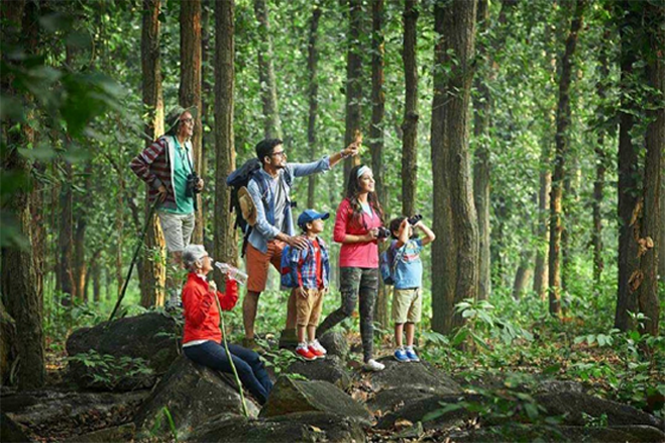 Jungle Trekking